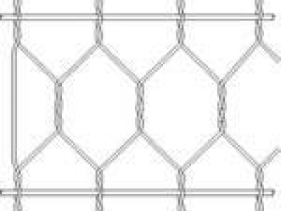  加筋石笼网图片3